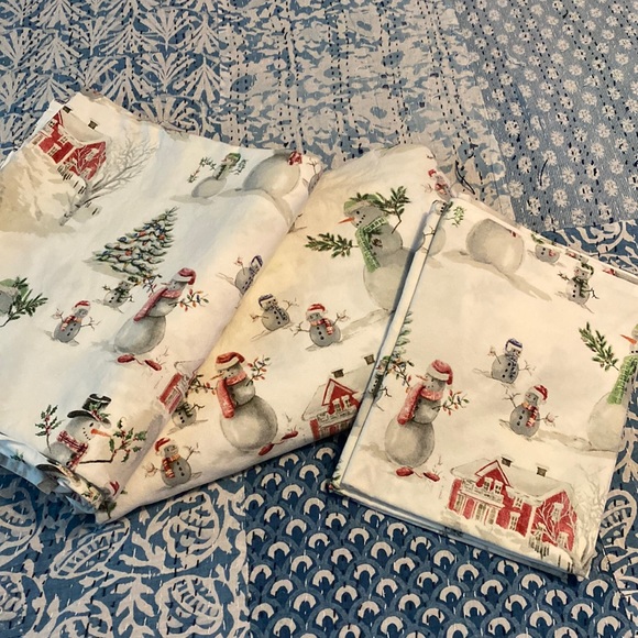 Pottery Barn Other - Pottery Barn Winter Wonderland Queen Sheet Set